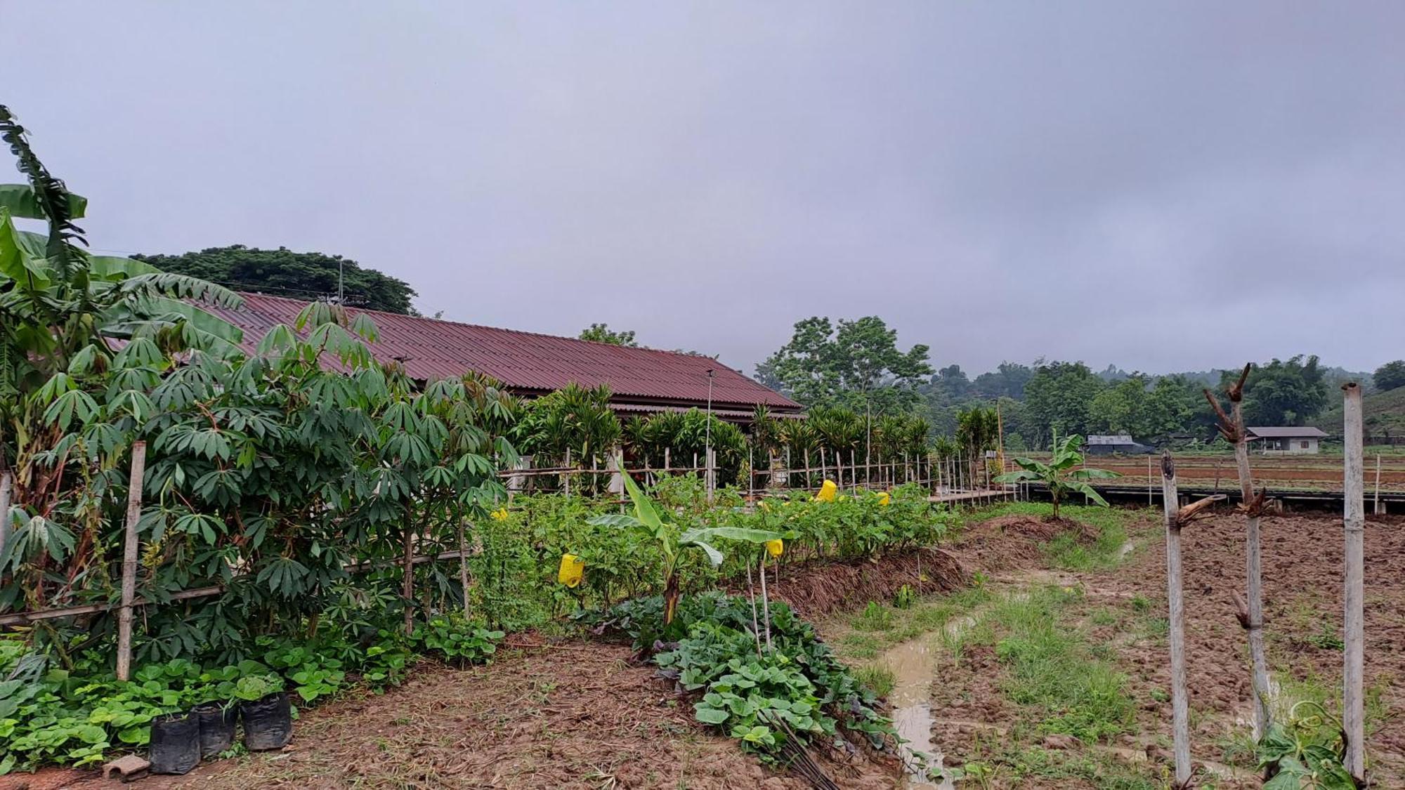 Ban Lom Jen Homestay Chiang Rai Exterior foto